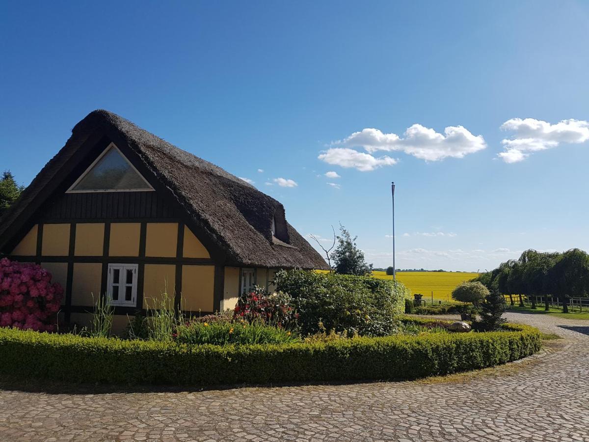 Zara'S B&B Horsens Exterior foto